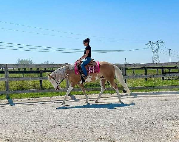trail-paint-horse