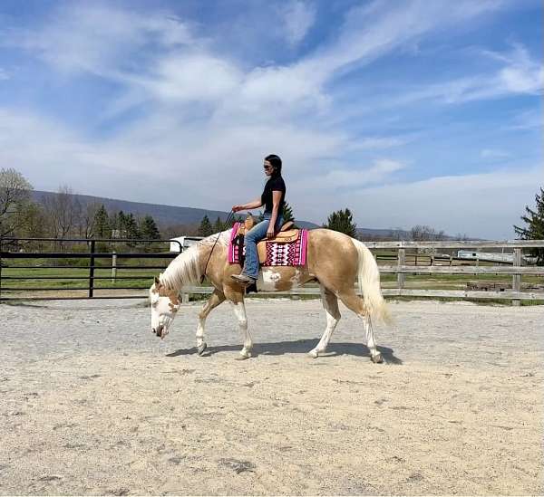 trail-riding-paint-horse