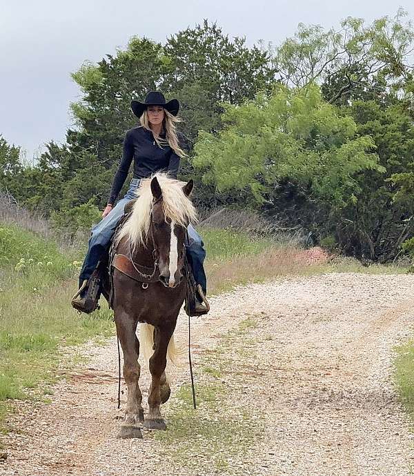 jumping-draft-horse