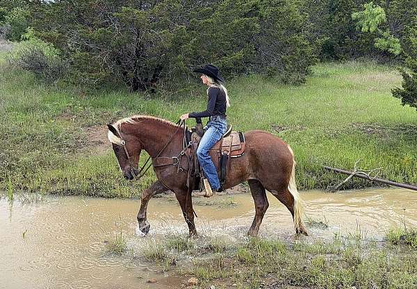 kid-safe-draft-horse