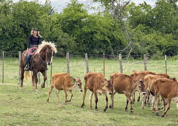 ranch-work-draft-horse