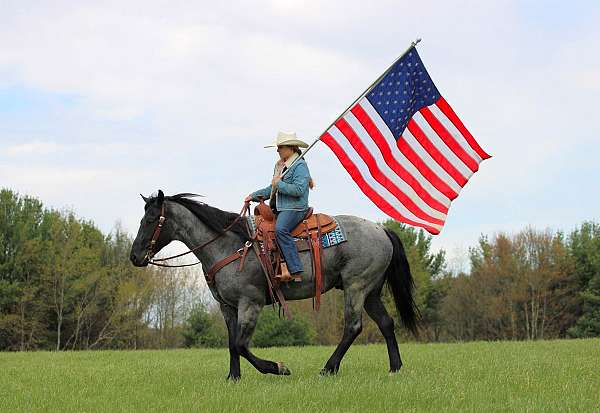 flashy-quarter-horse