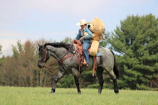 performance-quarter-horse