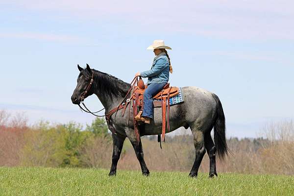 roping-quarter-horse