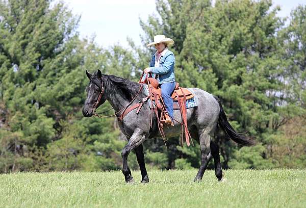 youth-quarter-horse