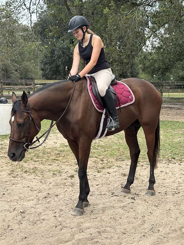 star-blaze-horse