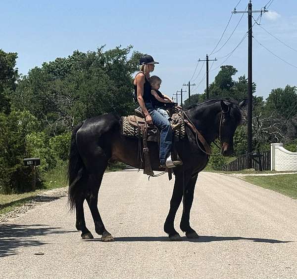 driving-draft-horse