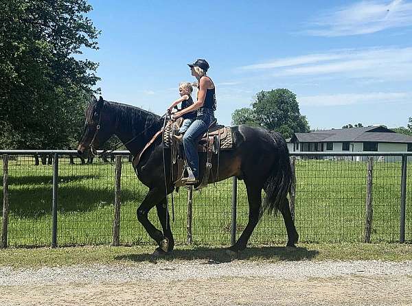 husband-safe-draft-horse