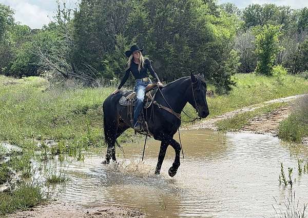 kid-safe-draft-horse