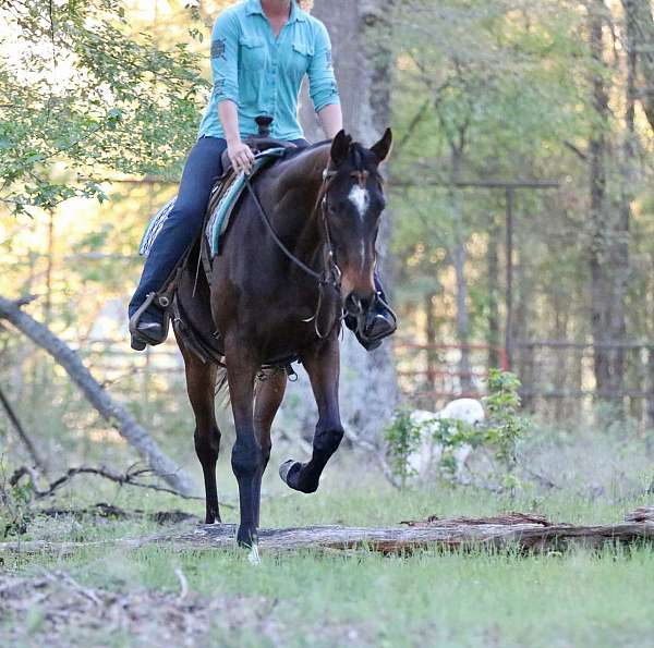 husband-safe-appendix-horse