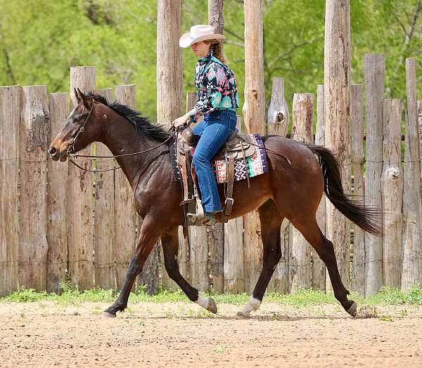 kid-safe-appendix-horse