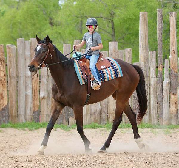 ranch-appendix-horse