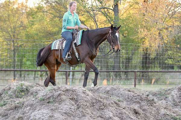 ranch-work-appendix-horse