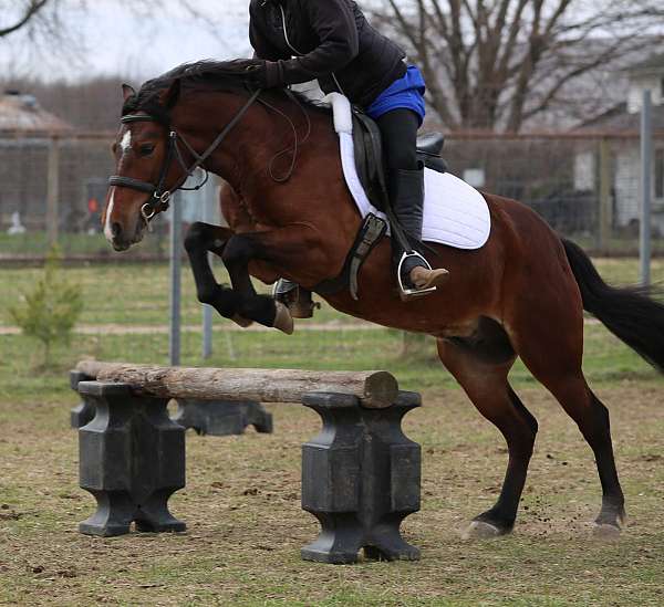 jumping-pony