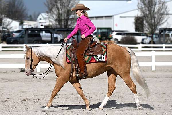 champagne-yout-horse