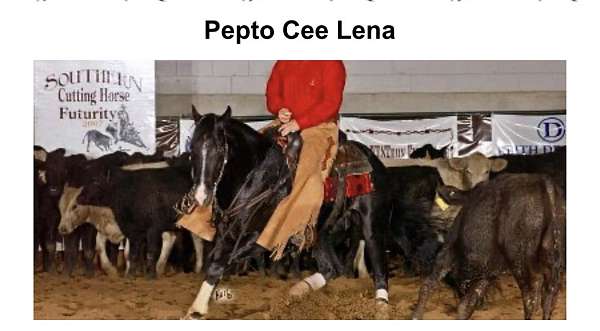 heel-quarter-horse