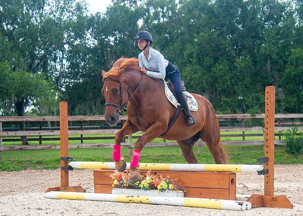 kid-safe-draft-horse