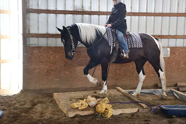 jumping-friesian-horse