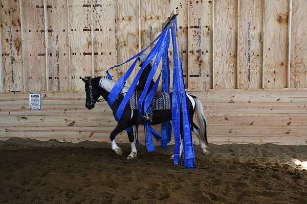 kid-safe-friesian-horse
