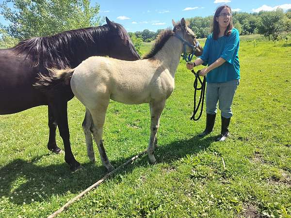 back-pastern-ahite