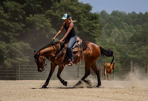 athletic-quarter-horse