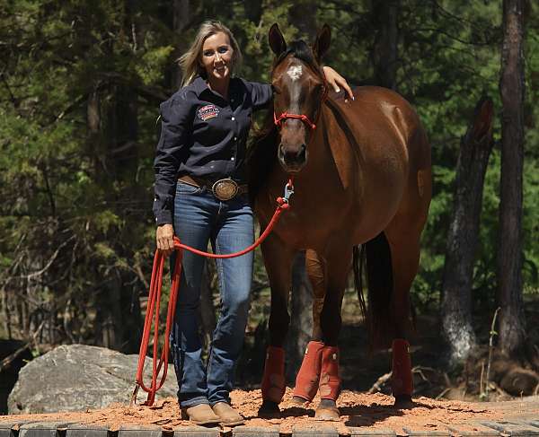 cutting-quarter-horse