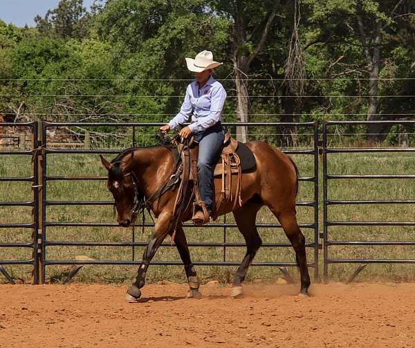 ranch-work-quarter-horse
