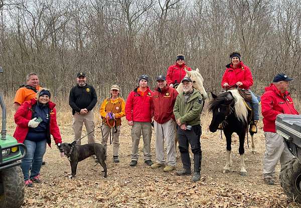breeding-spotted-saddle-horse