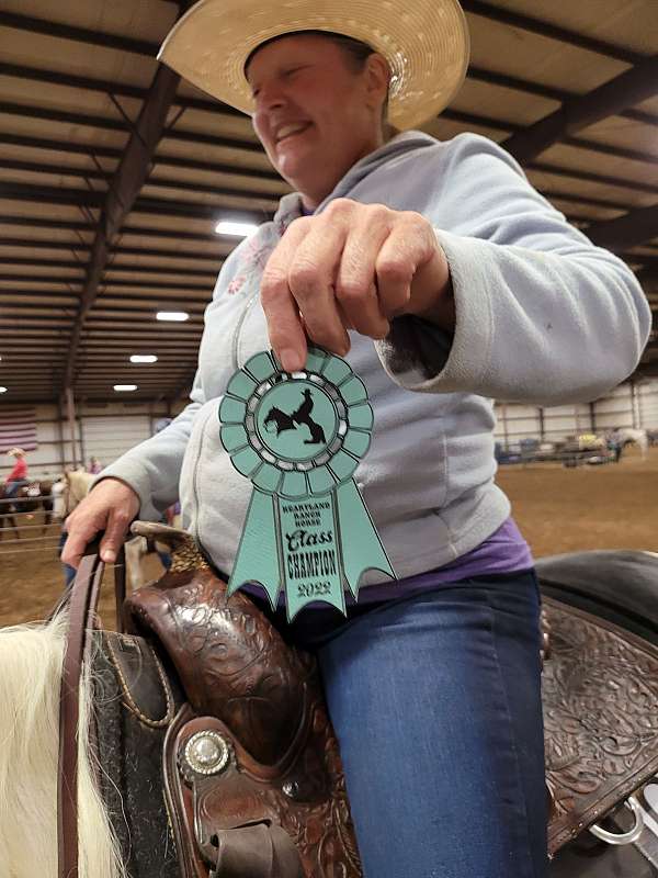 all-vaccines-spotted-saddle-horse