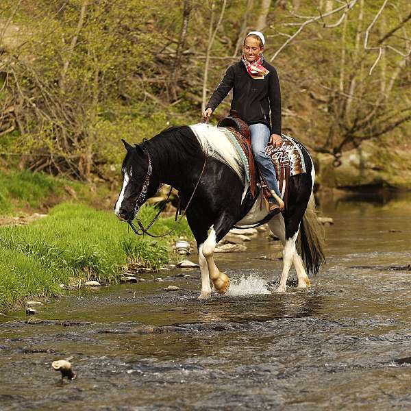 finished-draft-horse