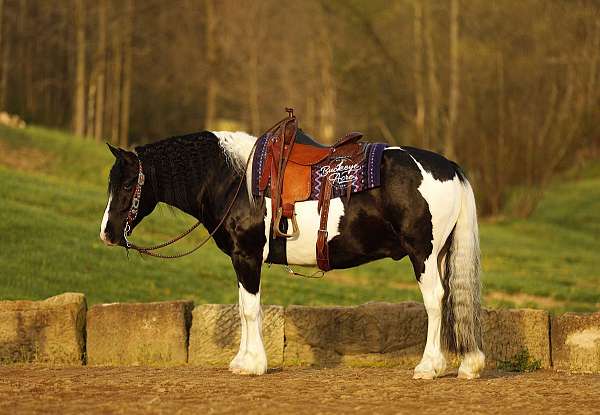 kid-safe-draft-horse