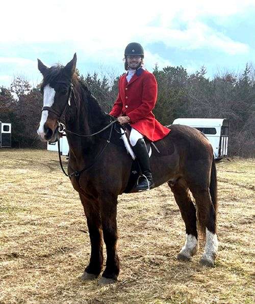 bay-2-white-socksblaze-horse