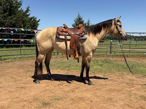 fly-filly