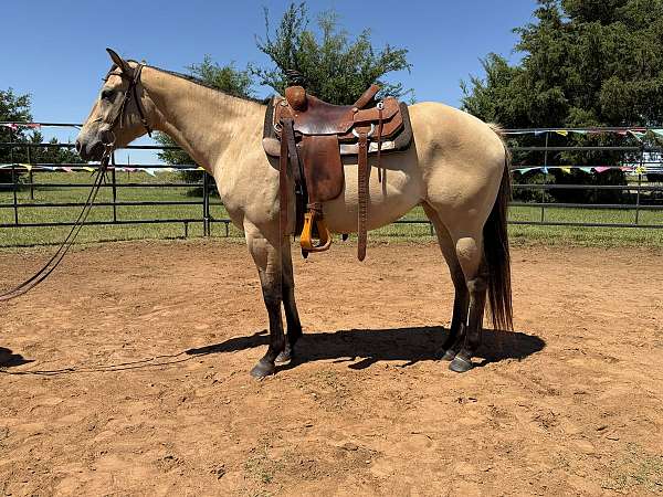 saddled-filly
