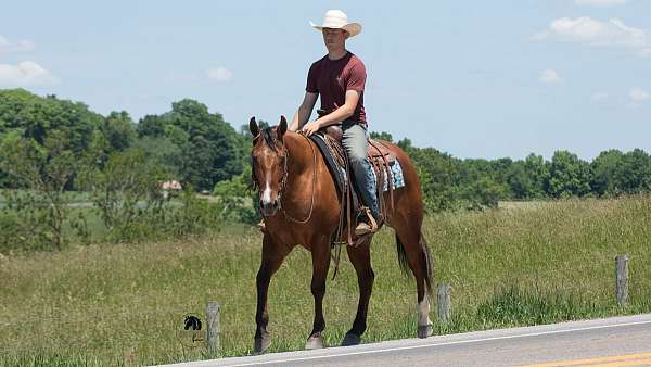jumping-quarter-horse