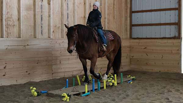 ridden-western-draft-horse