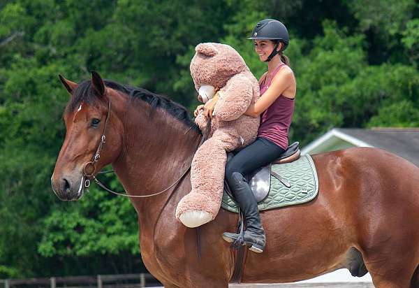 kid-safe-gelding