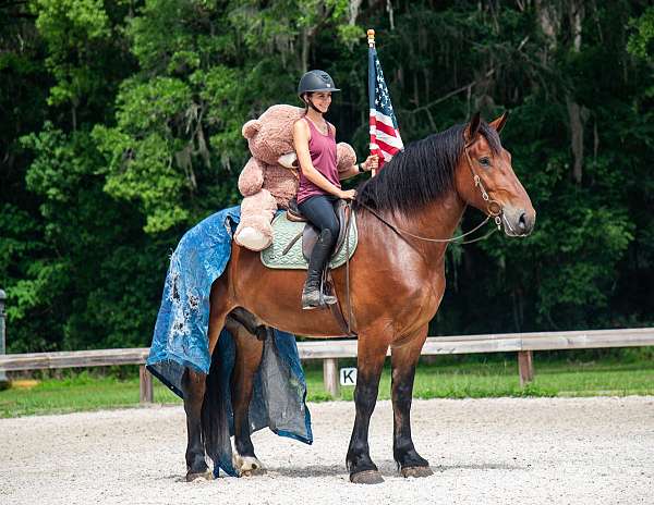 all-around-draft-horse