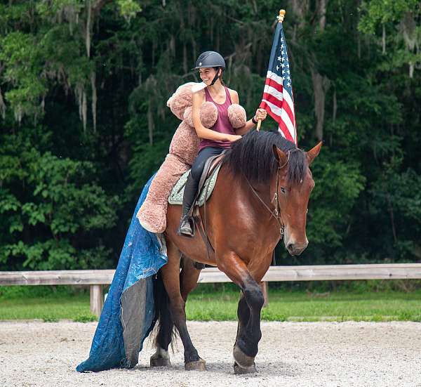 kid-safe-horse
