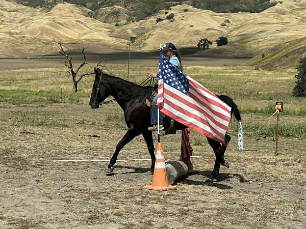 kid-safe-quarter-horse