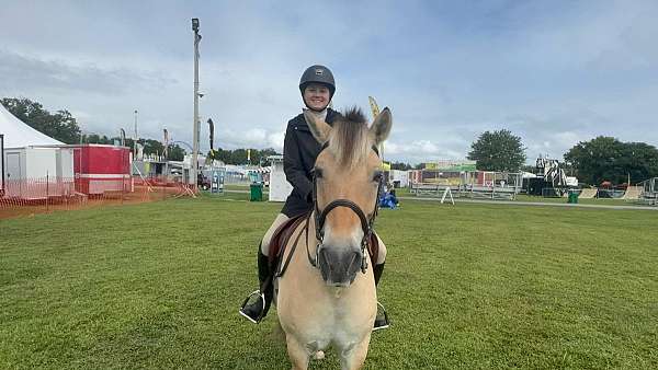 athletic-ability-fjord-horse