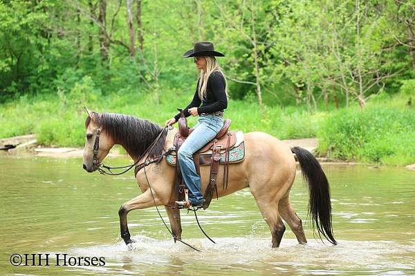 drill-team-quarter-horse