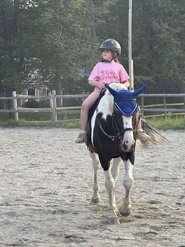 best-friend-draft-horse
