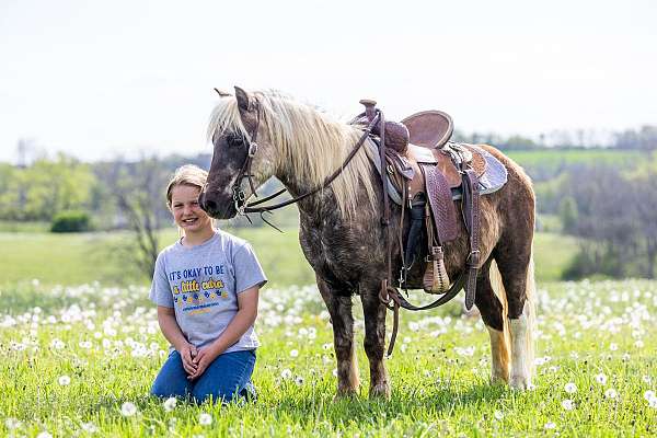trail-pony
