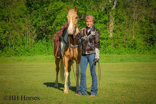 drill-team-paint-horse
