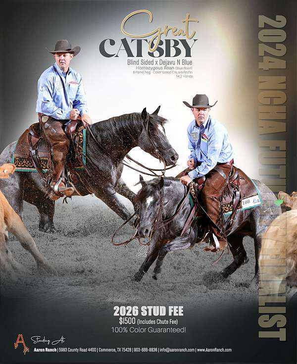 aqha-points-paint-horse