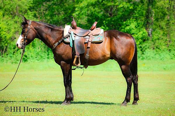 gucci-only-paint-horse