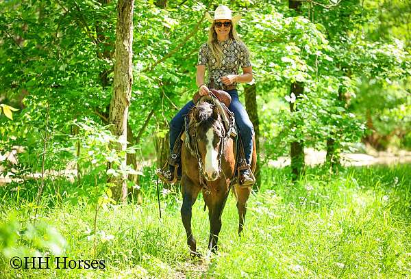 large-rider-paint-horse