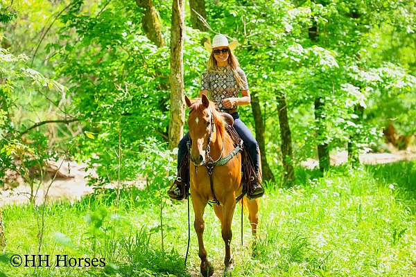 athletic-quarter-horse