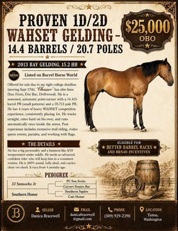 rodeo-queen-quarter-horse